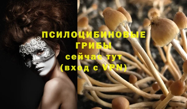 прущие крисы Зерноград