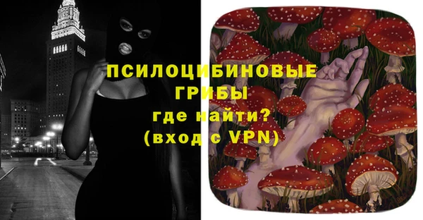 бошки Зеленодольск