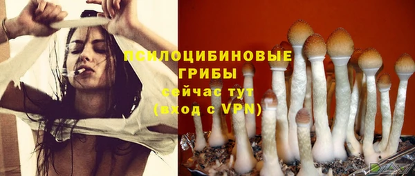 прущие крисы Зерноград