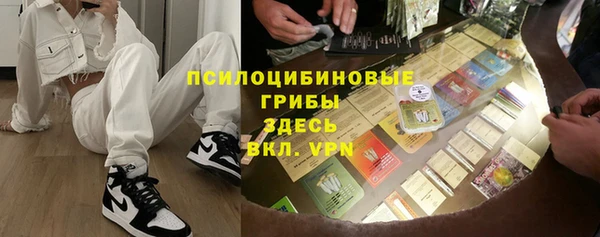 бошки Зеленодольск