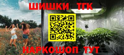 apvp Заводоуковск