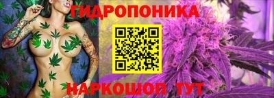 apvp Заводоуковск
