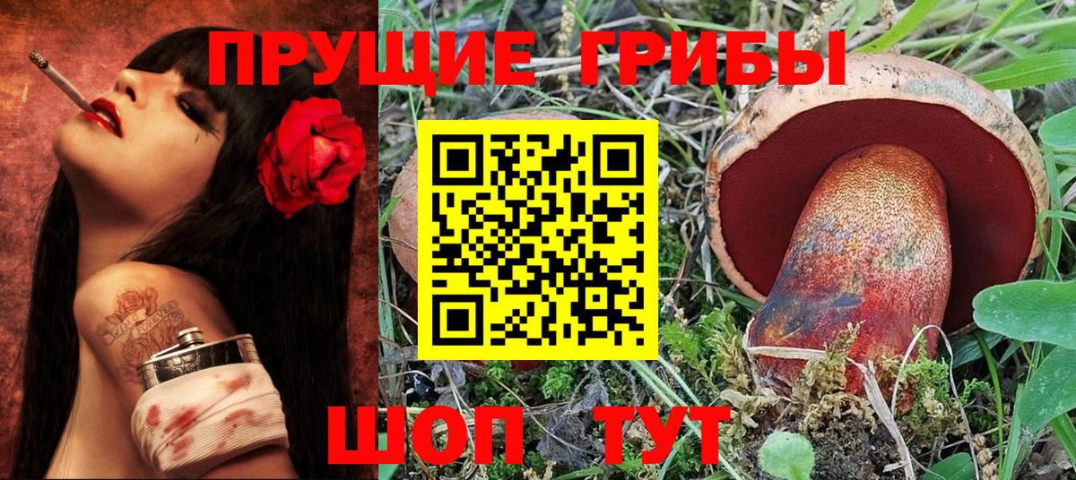 Псилоцибиновые грибы Psilocybine cubensis Карачаевск