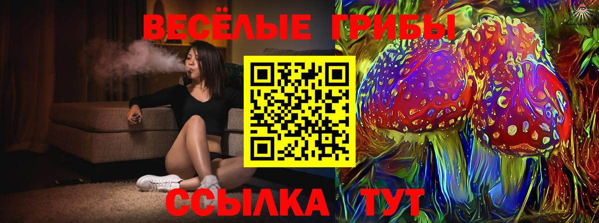 Псилоцибиновые грибы прущие грибы  Вход с VPN  Карачаевск 
